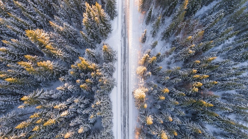 Adventurous Discoveries